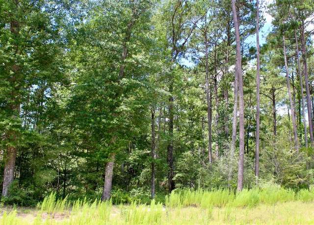 Property at 14-36-3 Larkspur Ln, Huntsville, TX 77358