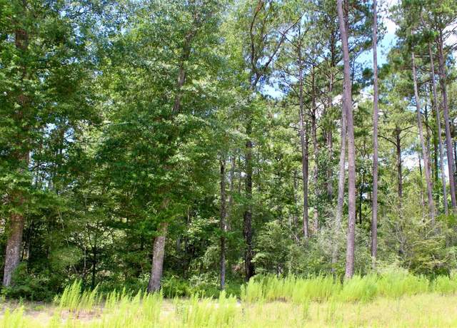 Property at 14-36-3 Larkspur Ln, Huntsville, TX 77358