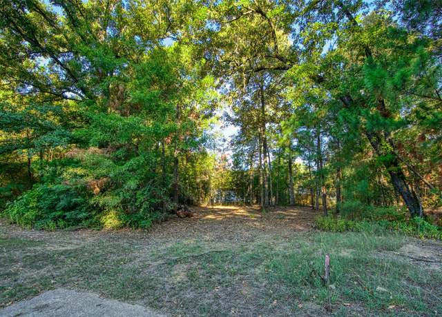 Property at TBD Lot 104 Windwood Dr, Livingston, TX 77351