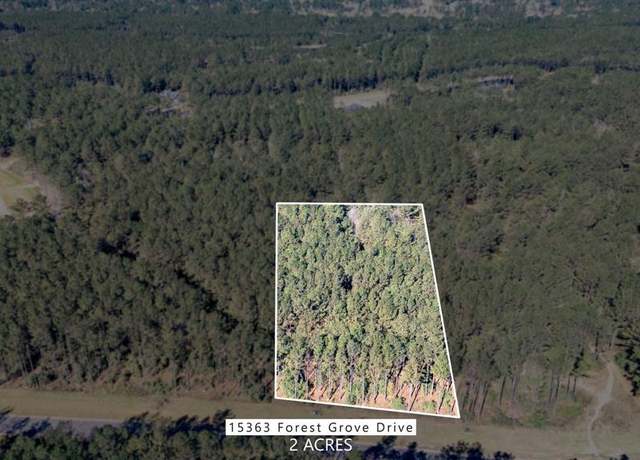 Property at 15363 Forest Grove Dr, Willis, TX 77378