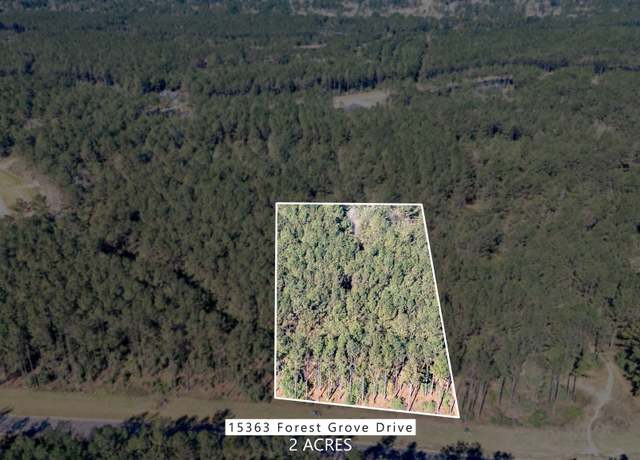 Property at 15363 Forest Grove Dr, Willis, TX 77378