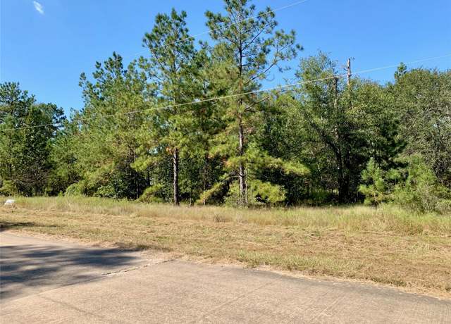 Property at 501 Big Buck Dr, Cleveland, TX 77328