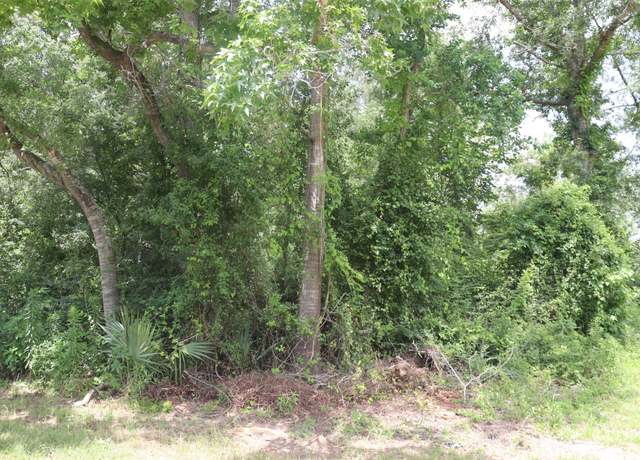 Property at 17138 H L Patton Blvd, Patton Village, TX 77372