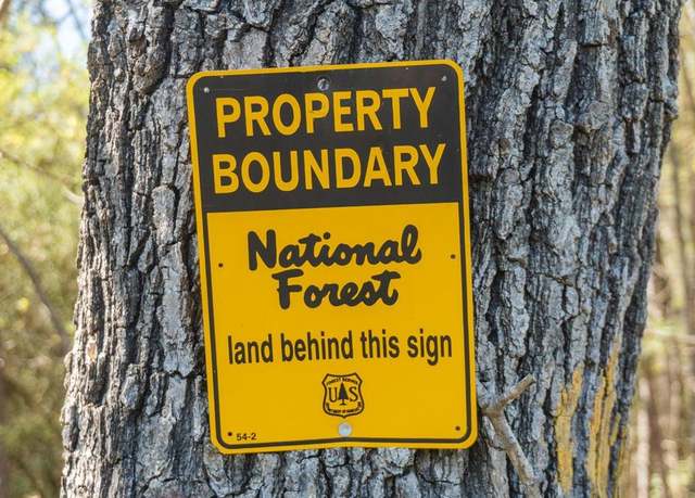 Property at TBD Fsr 527, Kennard, TX 75847