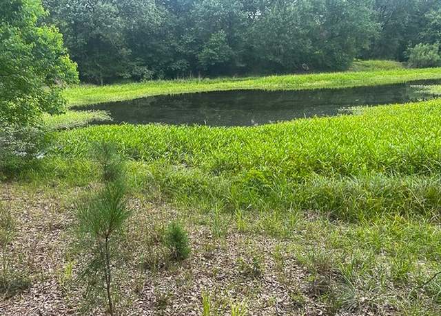 Property at TBD Birdsong Ln, Bedias, TX 77831