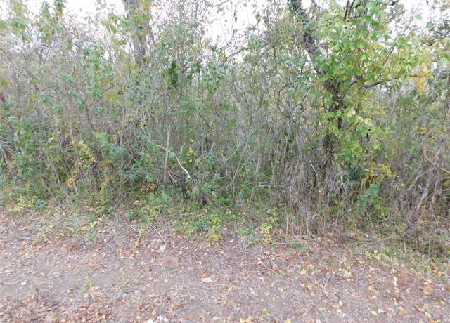Property at 316 & 627 County Rd, Brazoria, TX 77422