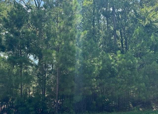 Property at 11 Hillsborough Dr, Huntsville, TX 77340