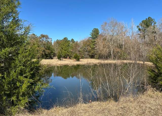 Property at 1335 Bird Rd, Livingston, TX 77351