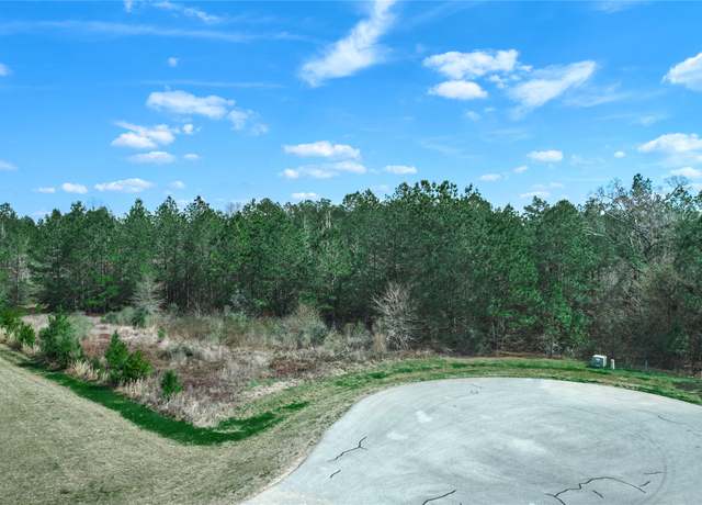 Property at 4505 Mistywood Ct, Montgomery, TX 77316