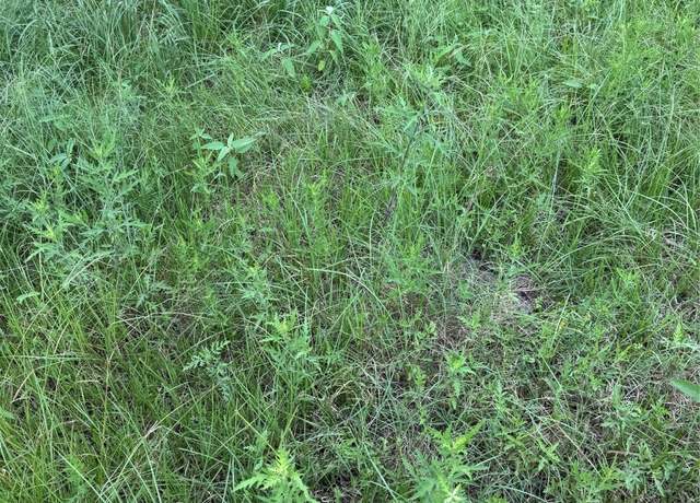 Property at 000 Herring At Cr 144 Rd, Alvin, TX 77511