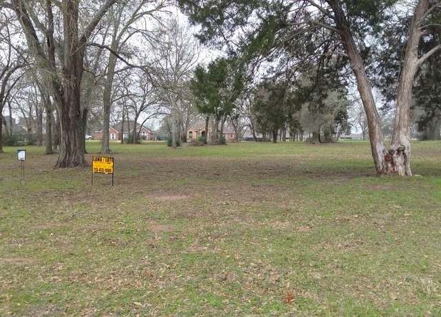 Property at 225 Birdie Dr, Hempstead, TX 77445