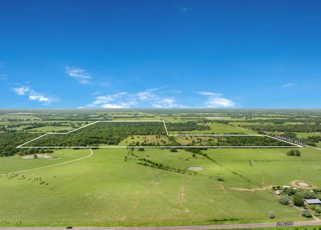 Property at +/- 200 AC Dawkins Rd, Normangee, TX 77871