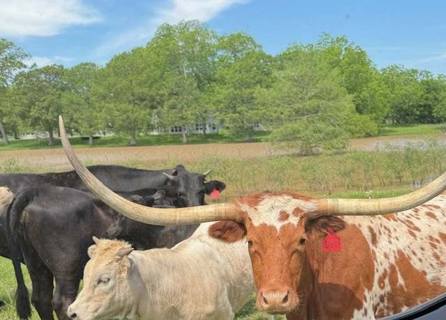 Property at 6319 Fm 1489, Brookshire, TX 77423