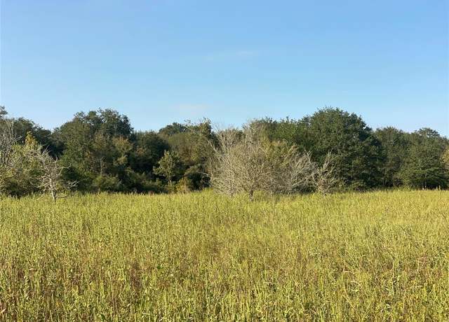 Property at 8 Acres County Road 229, Bedias, TX 77831