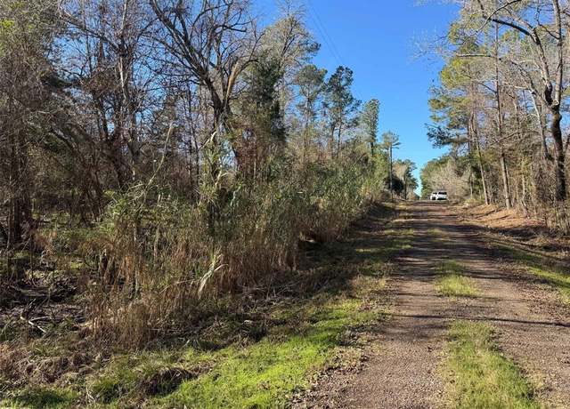 Property at 00 The Woods Rd, Coldspring, TX 77331