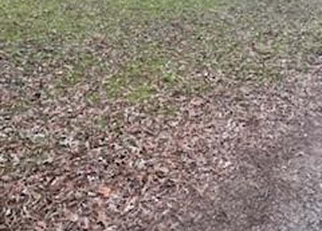 Property at 0 Monticello St, Trinity, TX 75862