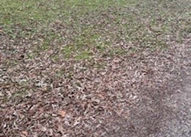 Property at 0 Monticello St, Trinity, TX 75862