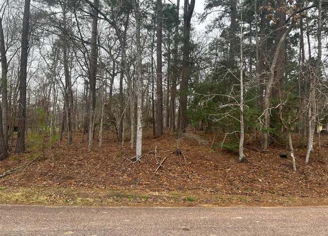 Property at 101 S Royale Greens Dr, Coldspring, TX 77331