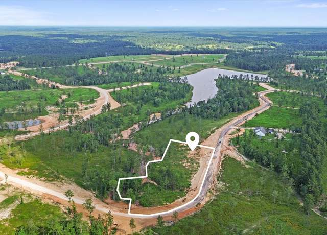 Property at 0 Anna Grace Rd, Livingston, TX 77351