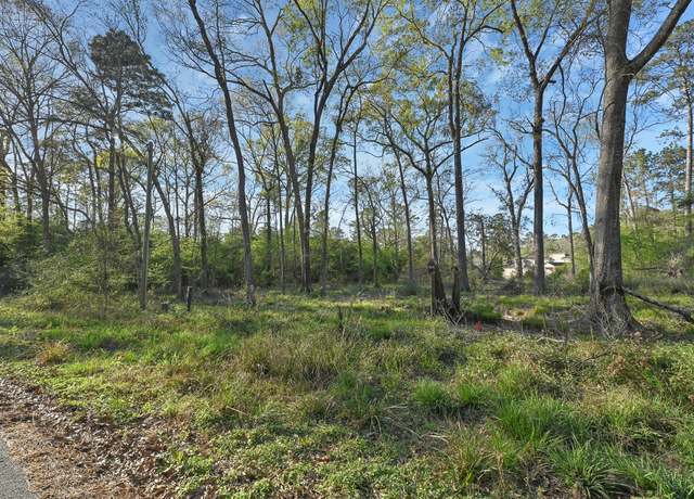 Property at 231 Chariot Ln, Roman Forest, TX 77357