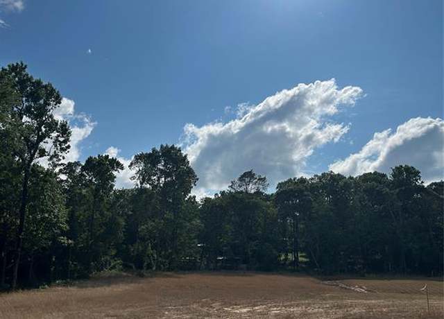 Property at 11369 Annie Creek Dr, Willis, TX 77378