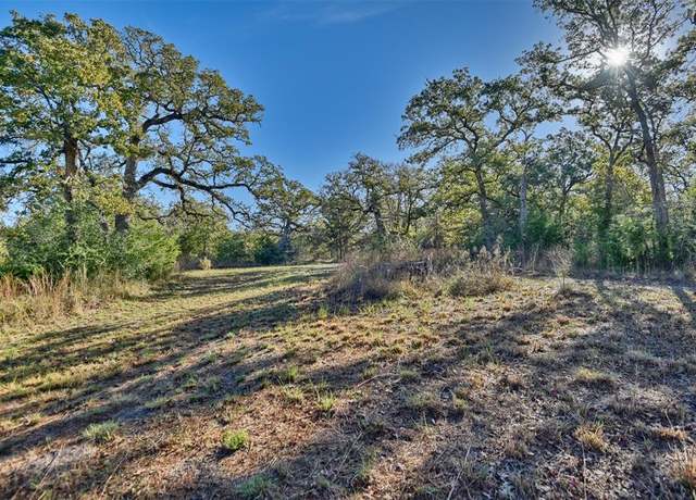 Property at 261 Moss Oak Dr, Somerville, TX 77879