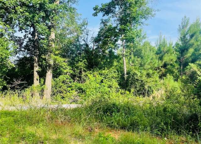 Property at 01 Bracewell Cemetery Rd, Livingston, TX 77351