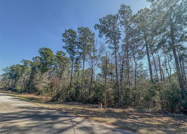 Property at TBD N Canyon Dr, Onalaska, TX 77360