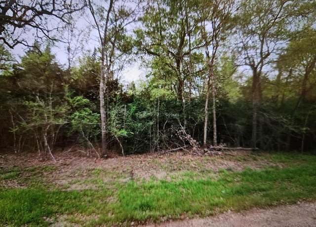 Property at 0 S Swan Lake Dr, Caldwell, TX 77836