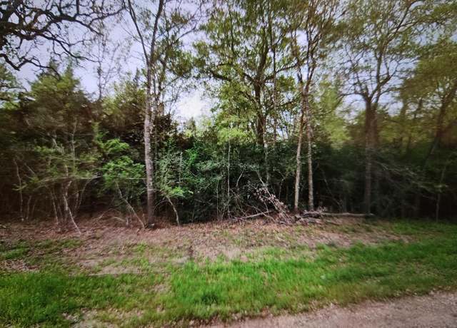 Property at 0 S Swan Lake Dr, Caldwell, TX 77836