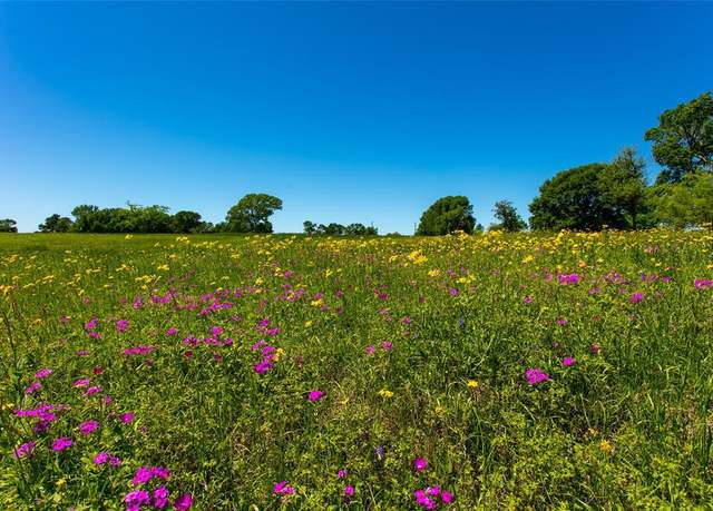 Property at Lot 19A Brazos Ct, Caldwell, TX 77836