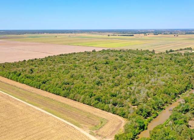Property at TBD County Road 443, Snook, TX 77878
