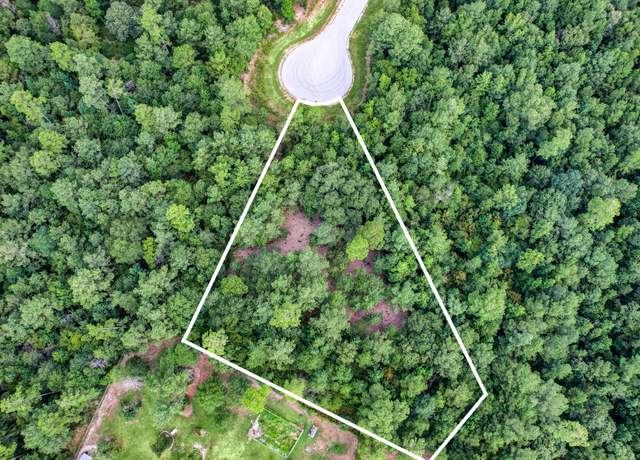 Property at 125 Pyrite Ct, Huntsville, TX 77340