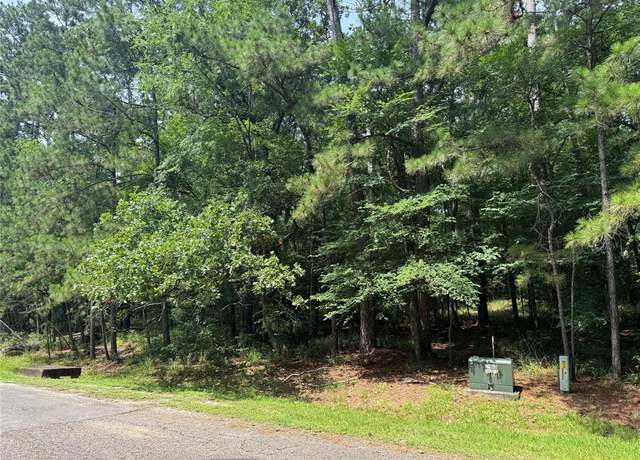 Property at 75 Green Tree Dr, Coldspring, TX 77331
