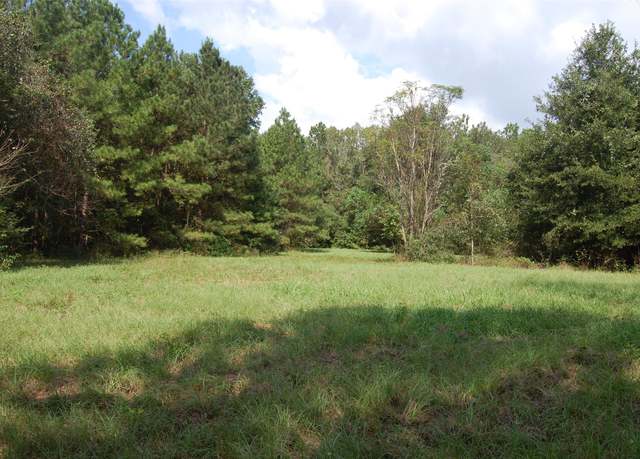 Property at 20075 Forestview Dr, Magnolia, TX 77355, 4 beds, 2 baths