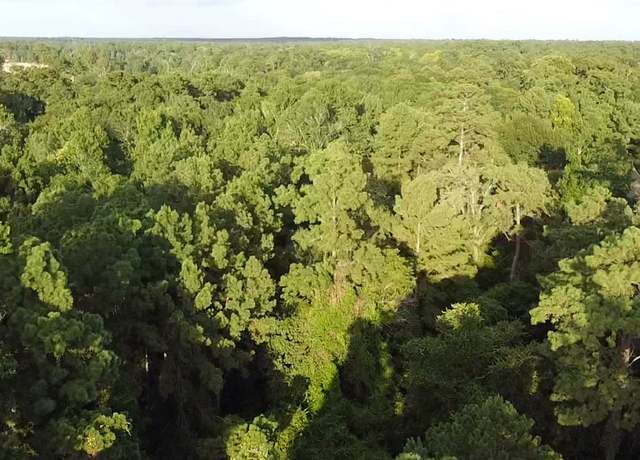 Property at 0 Prop Id 101208, Hockley, TX 77447