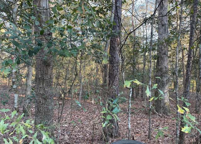 Property at 00 Wright Blvd, Shepherd, TX 77371