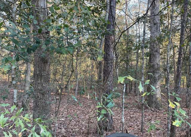 Property at 00 Wright Blvd, Shepherd, TX 77371