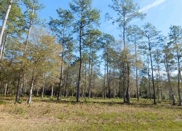 Property at 9245 Bear Creek Dr, Kountze, TX 77625