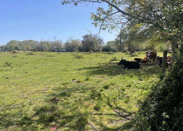 Property at TBD County Rd 95/mustang Bayou Rd, Manvel, TX 77578