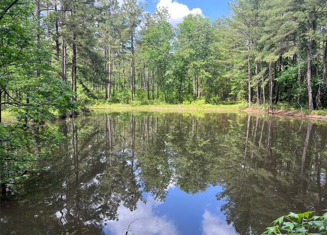 Property at 620 Nowlin Cemetery Rd, Chester, TX 75936