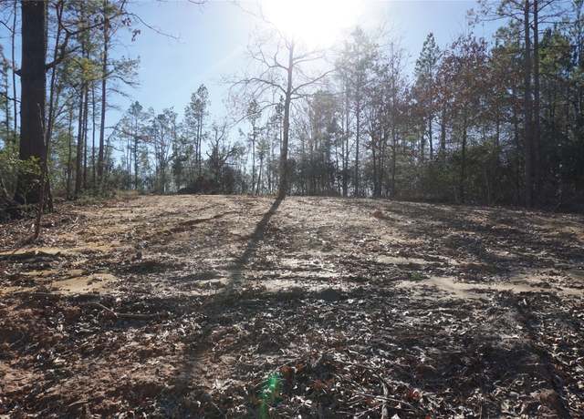Property at 9301 Private Road 2851 Tract 2, Buffalo, TX 75831