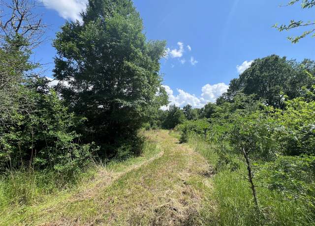 Property at Lot #2 Cr 218 Rd, Anderson, TX 77830