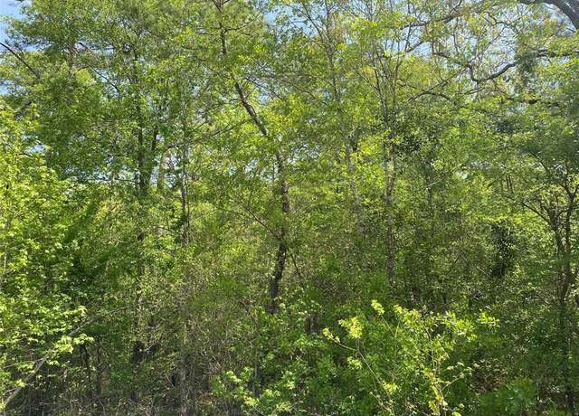 Property at 0 Hollybrook Dr, Plantersville, TX 77363