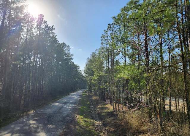 Property at 1039 Counts Rd, Point Blank, TX 77364