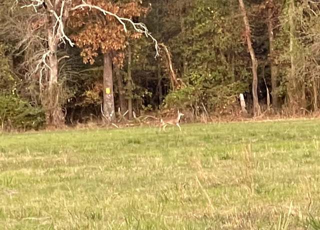 Property at 0000 North Mcgee Bend Loop, Groveton, TX 75845