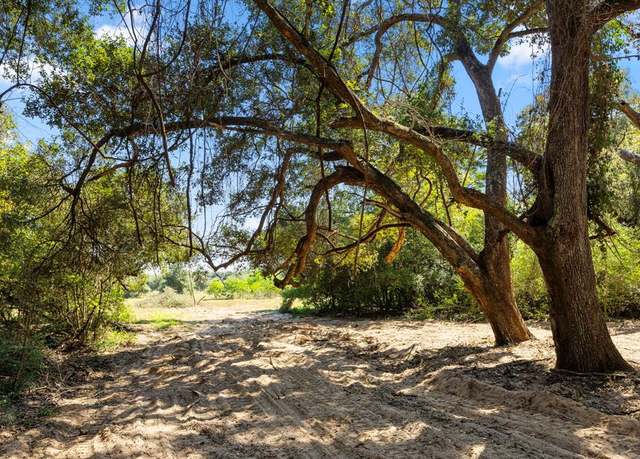 Property at TBD (TR 2 & 3) Joshua Tree Ln, Columbus, TX 78934