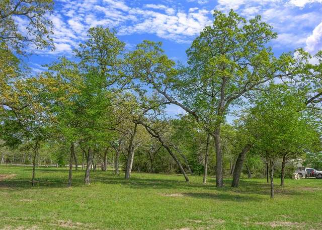 Property at 2 Acres FM 244, Anderson, TX 77830