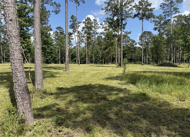 Property at TBD Fm 942, Camden, TX 75934