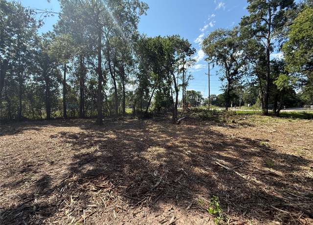 Property at 0 Chateau Woods, Conroe, TX 77385